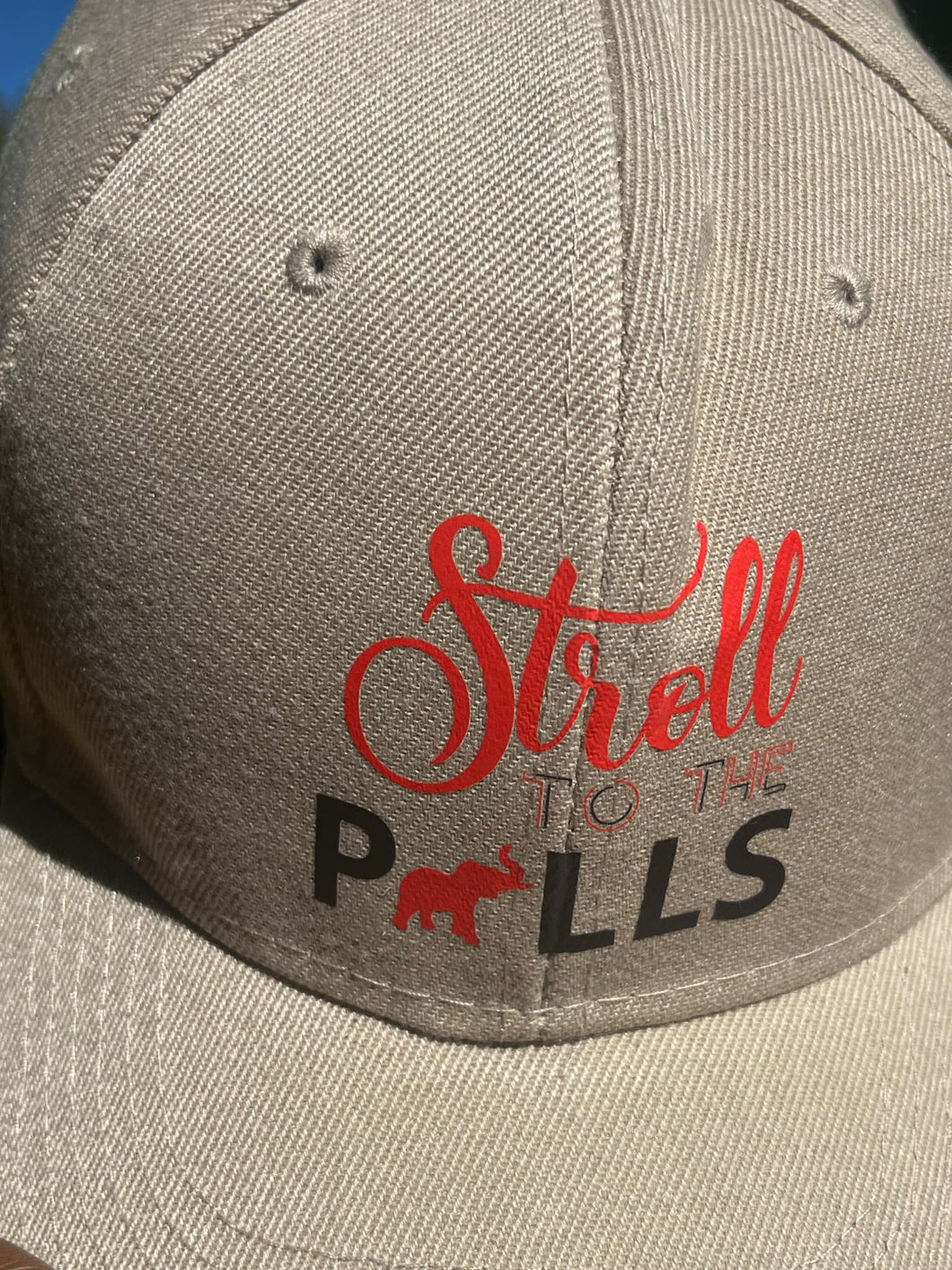 Stroll To The Polls Dad Cap