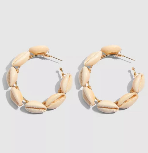 Cowrie Shell Hoop Earrings