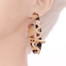 Load image into Gallery viewer, Winding Snake Hoop Earrings